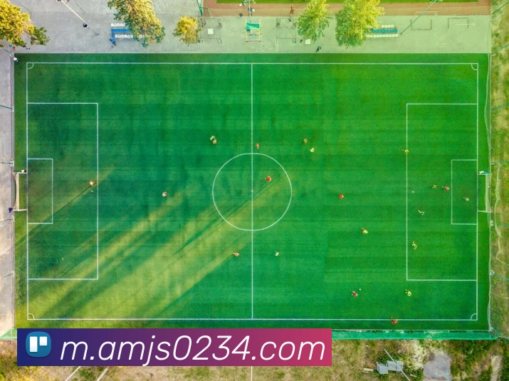 对战数据统计